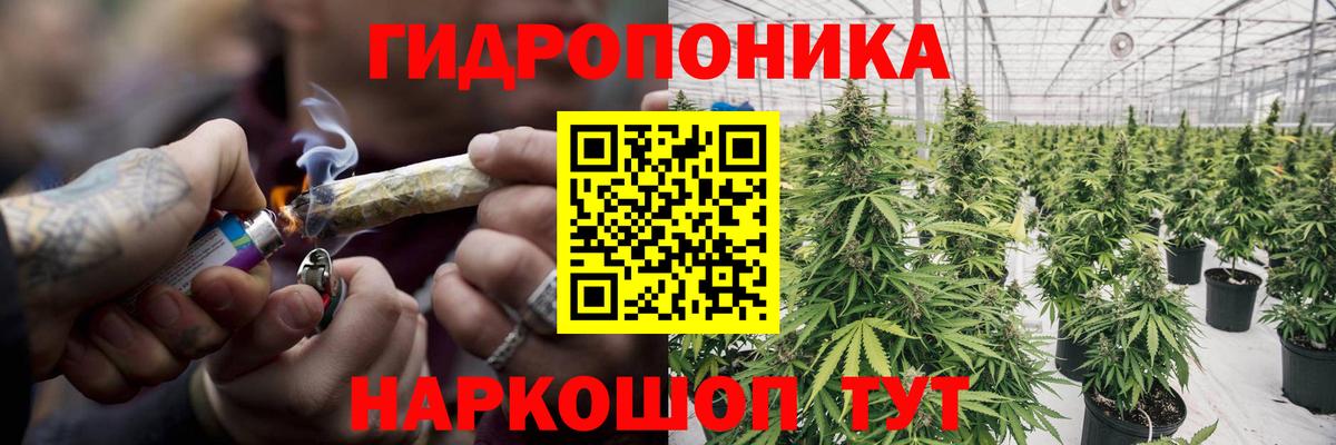 Конопля индика Северск